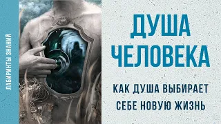 Душа и перевоплощение | КАК ДУША ВЫБИРАЕТ СЕБЕ НОВУЮ ЖИЗНЬ - Лабиринты Знаний