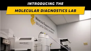 Introduction to the Molecular Diagnostics Lab