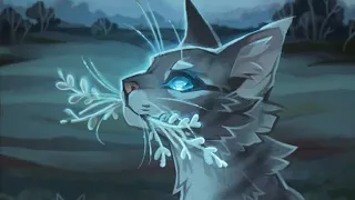 Warrior Cats Tiktok Compilation || Part 3 ||