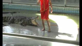 Крокодиловая ферма в Паттайе / Pattaya Crocodile Farm - best show with crocodiles I've ever seen!