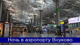 Ночь в аэропорту Внуково