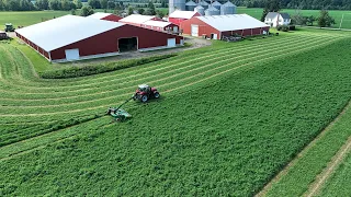 Making Gorgeous Alfalfa with my Dad (Step by Step Guide)