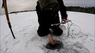 Проверка самоловок, первый лёд