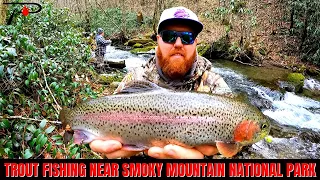 Trout Fishing Near Smoky Mountain National Park