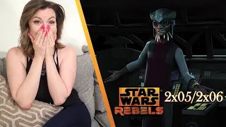Rebels 2x05/2x06 "Always Two There Are"/"Brothers of the Broken Horn" Reaction