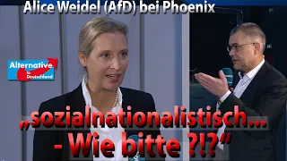 Wie Alice Weidel (AfD) versteckte Hetze bei Phoenix aufdeckte