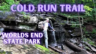 Cold Run Trail ~ Worlds End State Park, PA