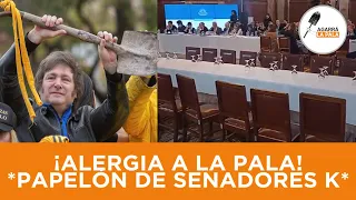 PAPELÓN DE SENADORES K QUE NO FUERON A TRABAJAR Y SE ADHIRIERON AL PARO DE LA CGT