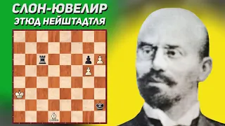 Слон-ювелир. Шахматный этюд Нейштадтля, 1897 год. Издание "Strategy". Шахматная композиция. Шахматы.