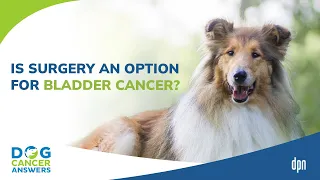 Is Surgery an Option for Bladder Cancer? Q&A | Dr. Brooke Britton