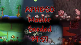 Master APHBSO sub 40 min (seeded) - Terraria Speedrun