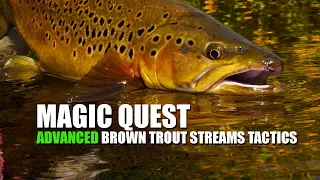 "Fly Fishing Brown Trout in small streams at Maruia - Magic Quest"