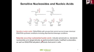 Webinar: Naturally Occurring Sensitive Nucleic Acids Applications and Chemical Synthesis
