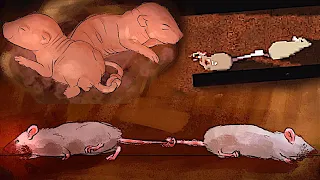 You're A Rat With A Dead Rat Tied To Your Tail In This Horror Game - Rattenkonig