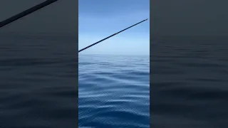 Pulling a Dredge from 25’ Bay Boat with TACO Outriggers 🤯