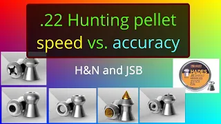 .22 Hunting pellet optimal speed High Power