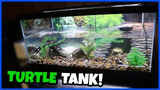 Setting Up A 40 Gallon TURTLE TANK!