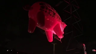 Roger Waters - Intro Animals + Dogs Live Santiago Chile 2018 HD