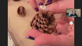 Science Division Live: Fun tricks with pine cones!