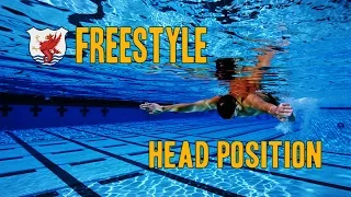 Swimisodes - Improve Freestyle Technique - Head Position