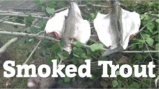 Smoked rainbow trout WITHOUT a smoker | Public land