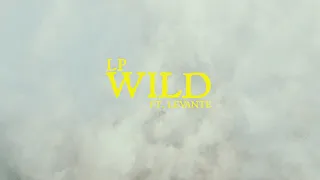 LP - Wild (feat. Levante) [Official Lyric Video]