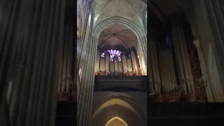 The Great Organ of Notre Dame Cathedral