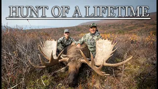 HUNT OF A LIFETIME- Giant Alaska Moose taken at 454 yards!!