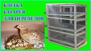 Клетка для перепелов своими руками Перепелиная ферма