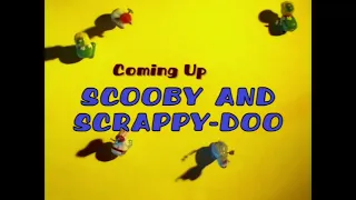 Boomerang US - Scooby-Doo and Scrappy-Doo Next Bumper (2000)