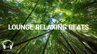 Lounge Relaxing Beats - Your Escape to Serenity, Relaxation, Meditation