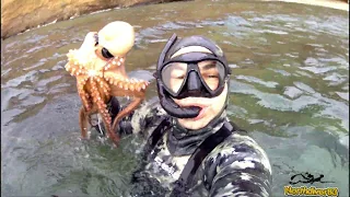 Τα μεγαλα χταποδια του χειμωνα(big winter octopus)