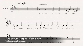 Mozart, Wolfgang Amadeus - Ave Verum Corpus - Guide voix - Alto