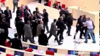 Fight breaks out in Georgian parliament over Ukraine