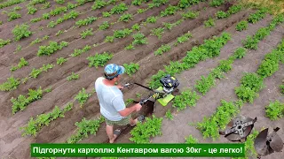 Turns potatoes better than a tractor!