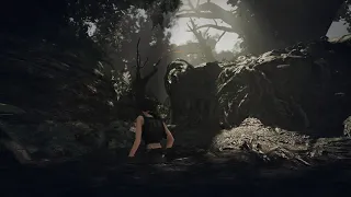 Shadow of the Tomb Raider HD - Area 2: Peruvian Jungle part 2 100% complete