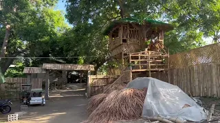bahay kubo in the making