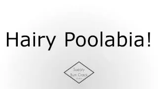 Hairy Poolabia!