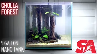 Cholla Wood Forest 5 Gallon Nano Tank Planted Aquarium Setup Video (Episode 1)