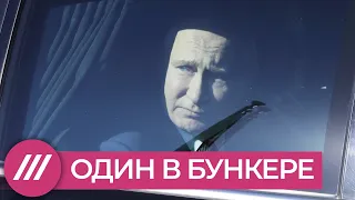 Путин в домике. Как президент спрятался от России, пустив эпидемию на самотек // Нюансы с Таратутой