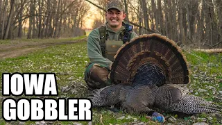 OPENING DAY Iowa GOBBLER, PERSISTENCE pays off! | FAIRCHASE #turkeyhunting #hunting