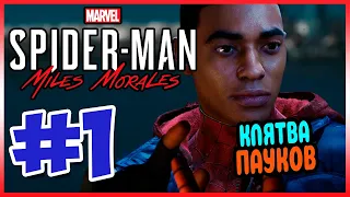 Прохождение Spider-Man: Miles Morales. НОВЫЙ ПАУК В ГОРОДЕ. #1