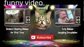 animals Funny Baby Videos Compilation 2014 NEW HD the animal-funny animals-funny videos