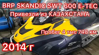 BRP SKANDIC SWT 600 E-TEC, привезли из КАЗАХСТАНА 14 г.в. пробег 4 тыс. 748км.Смотрим, что с ним!!!