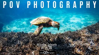 POV Photography With Sony a7iii - Underwater Photos Of Seaturtles