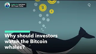 What Is a Bitcoin "Whales" and Why Investors Should Watch Them?