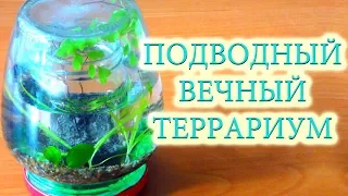 МЫ СОЗДАЛИ ПОДВОДНЫЙ ТЕРРАРИУМ