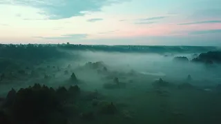Сказочный лес в тумане с высоты птичьего полёта /4K video/