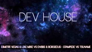 Dimitri Vegas & Like Mike vs DVBBS & Borgeous STAMPEDE vs TSUNAMI (Dev House Mashup)