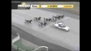 Freehold Accident on 01-10-14 in race 5 starting car runs into horses